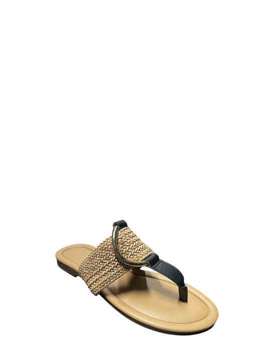 Infradito donna "Pregunta" ML5392C 003 Collezione Primavera/Estate 2026 - Nero e nocciola